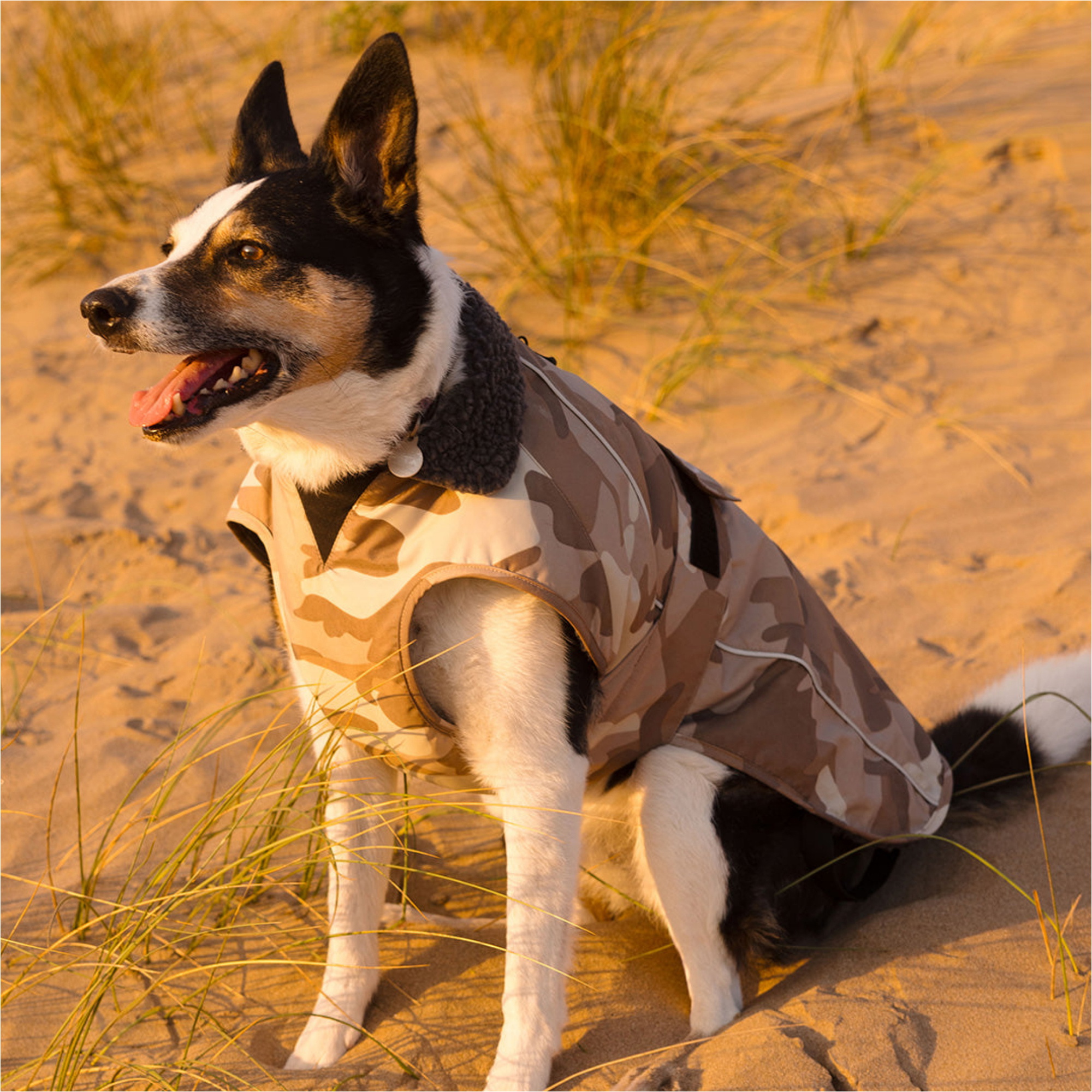 2026 Dryrobe Dog Coat V3DRDC - Sand Camo